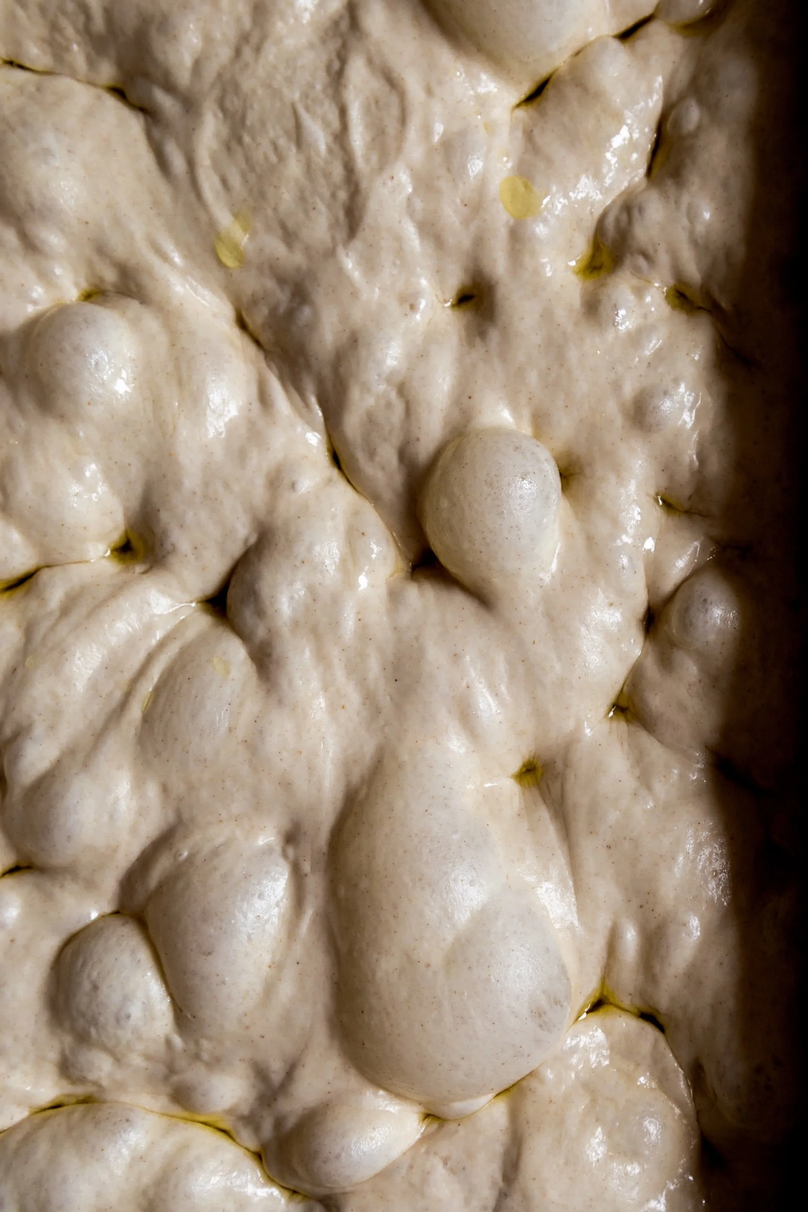sourdough focaccia 01.jpeg