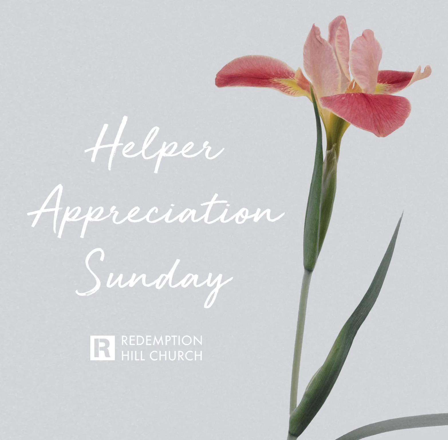 Helper Appreciation: Workshops