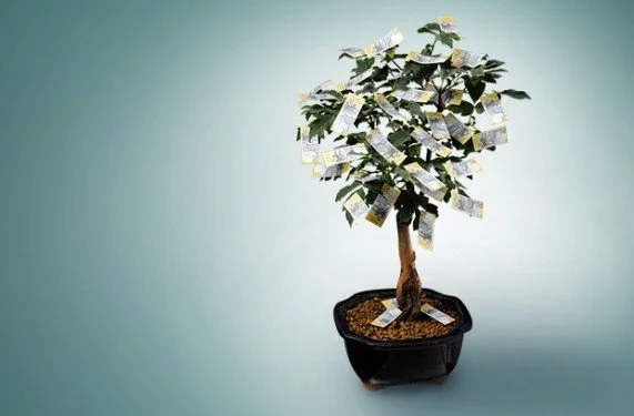How Can Redraw and Offset Accounts Save Me Money?