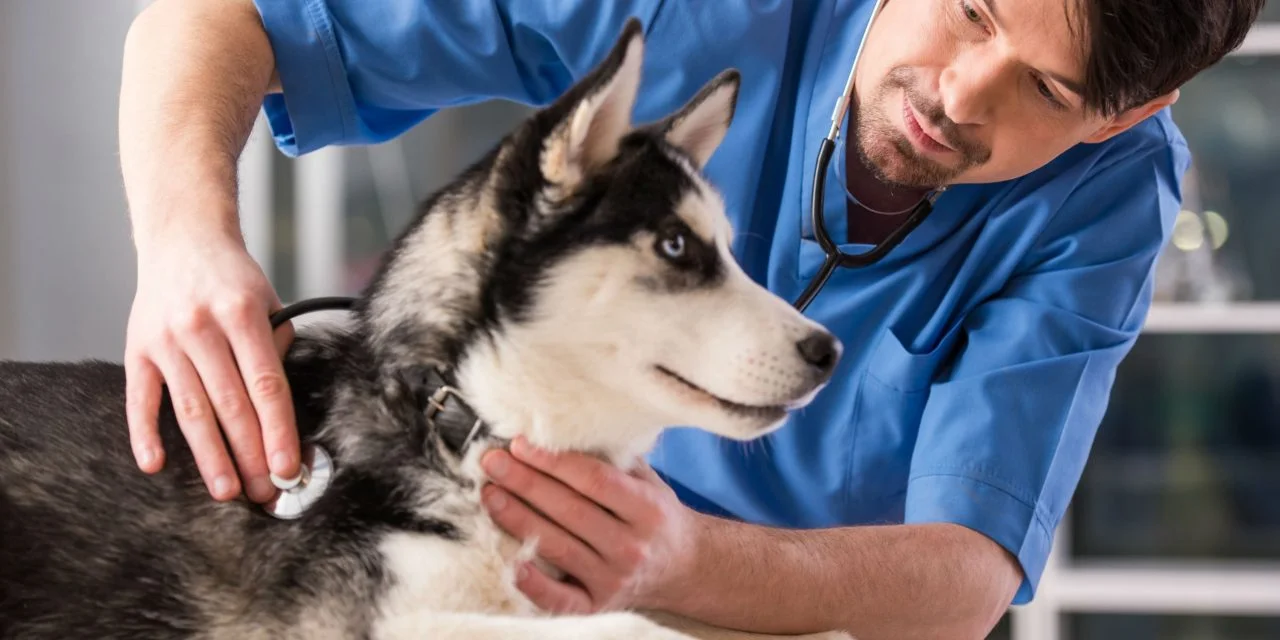 Can My Profession Save Me on My Home Loan?