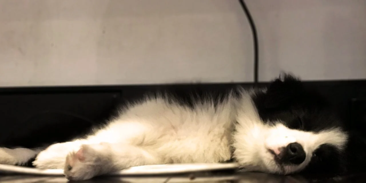 When I Take Cash Out of My Mortgage, What Should I Be Aware Of?