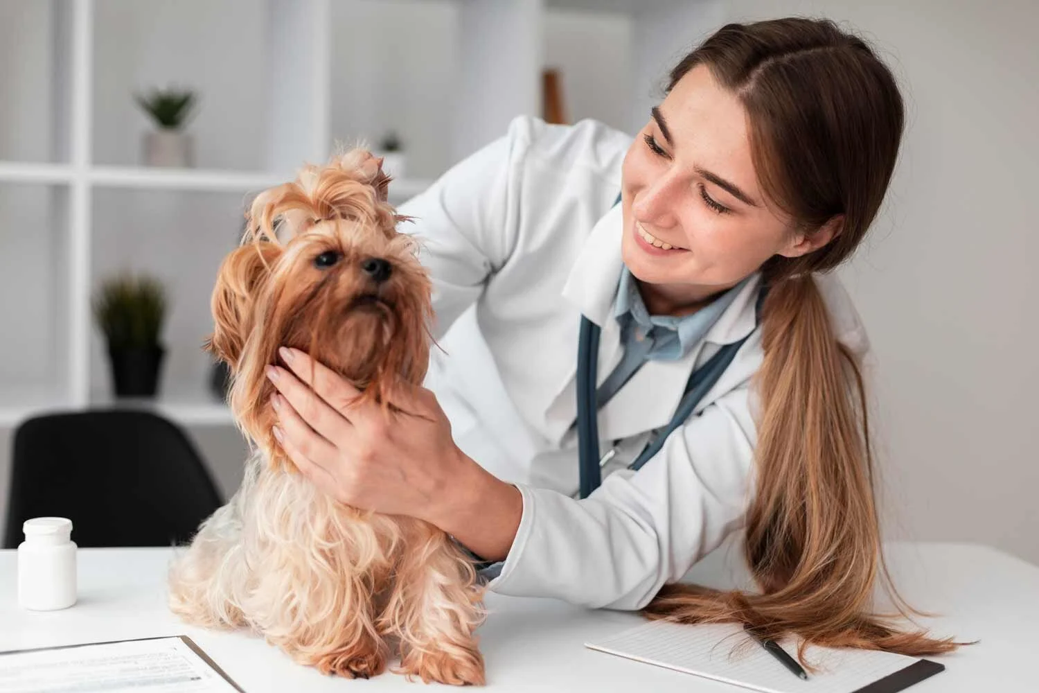 veterinarian-check-ing-puppy-s-health.jpg