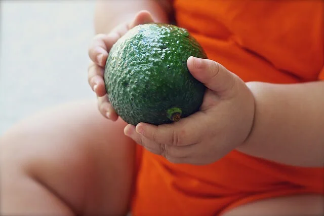 baby with avocado (1).jpg