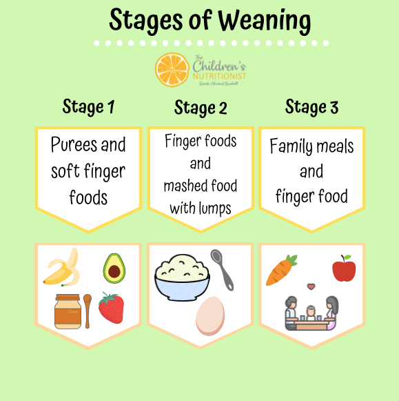 How to do stage 2 weaning — Weaning 