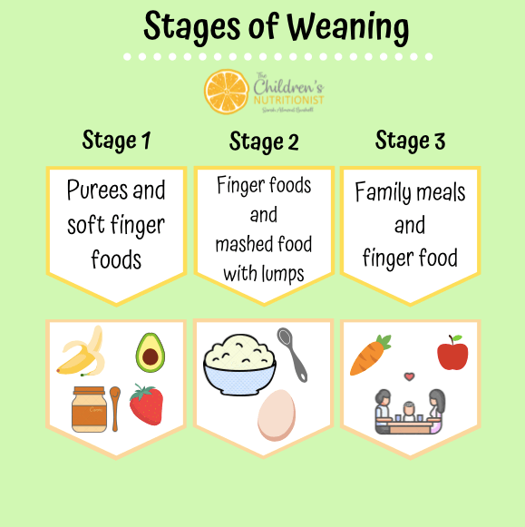 what are the typical phases of diets