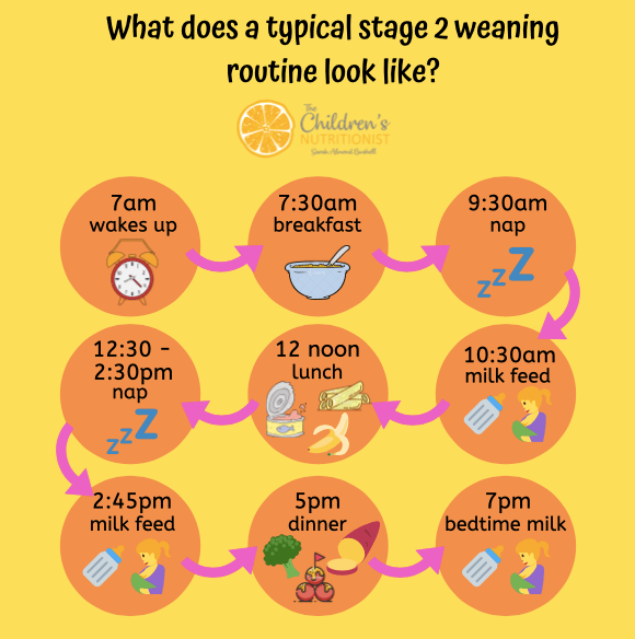 Stage 2 Routine.png