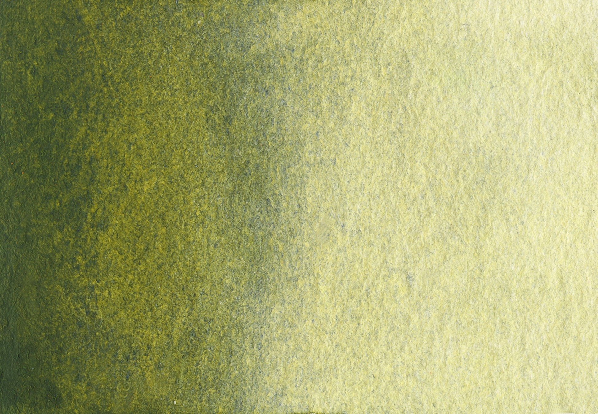 Olive Green Deep PY154, PY110, PB29  Colors — A. Gallo Colors -  Acquerelli Artigianali