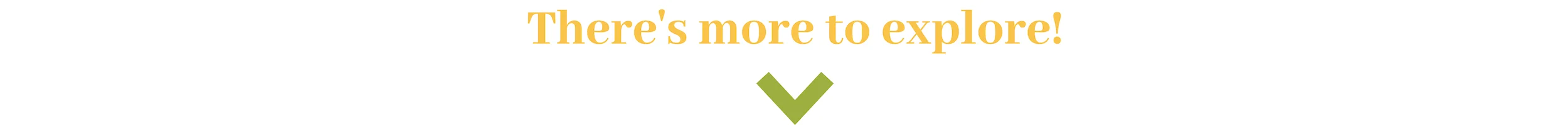 More To Explore Blog Footer.jpg
