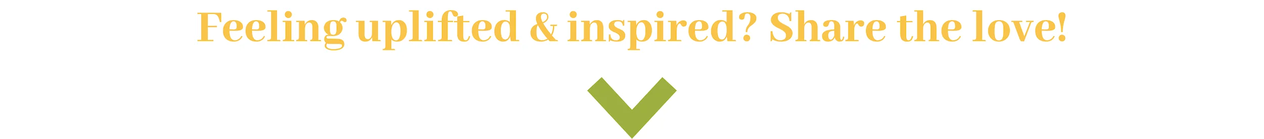 More To Explore Blog Footer.jpg
