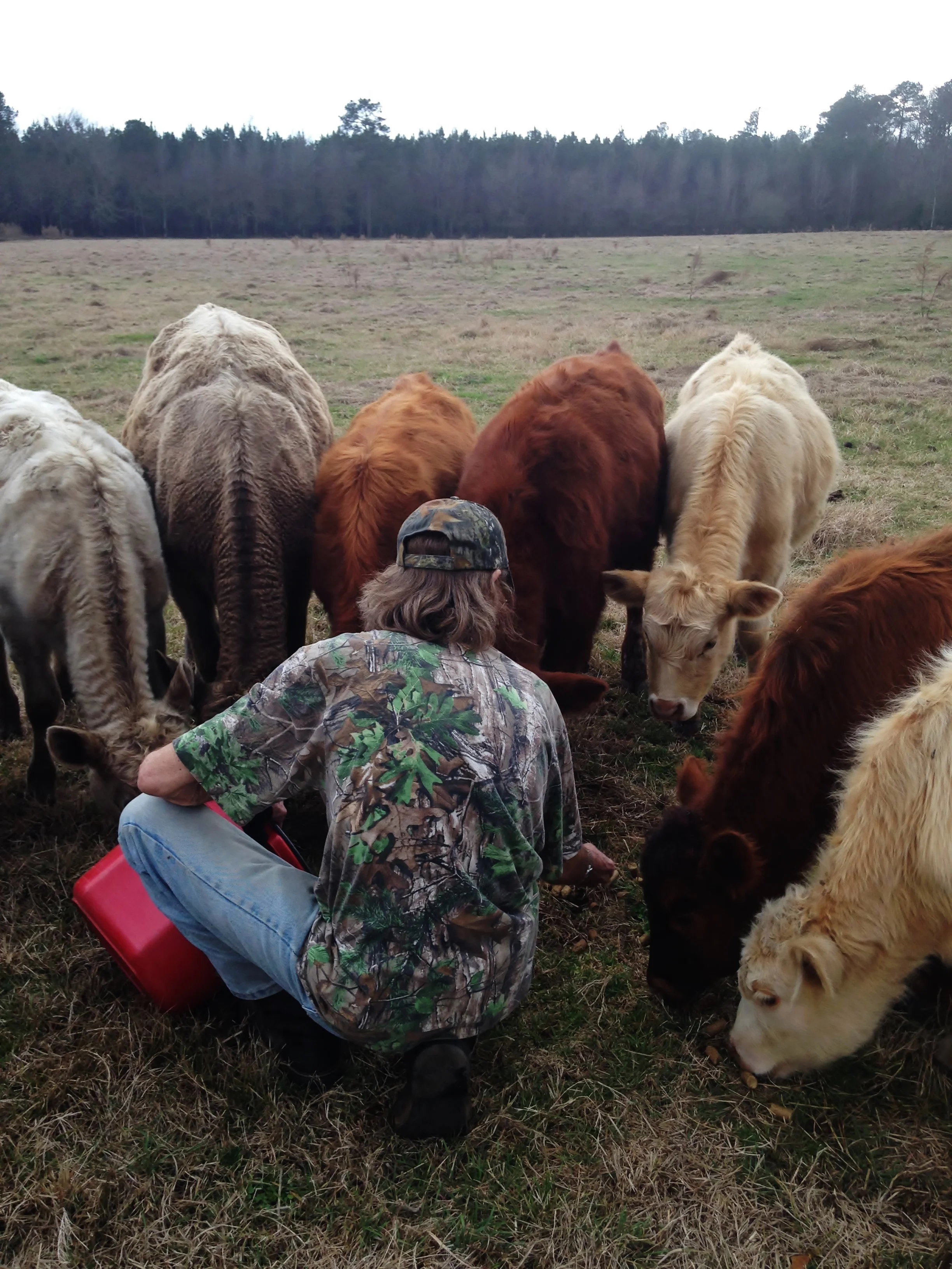 Rusty Holding Calf Class