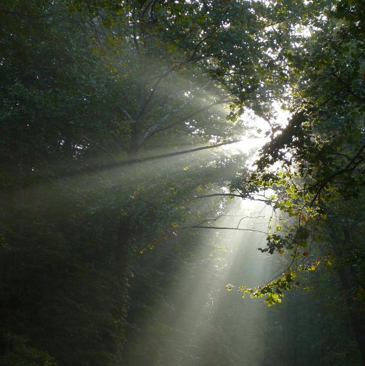 Adrift On a Dance of Grace and Light