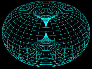 Torus Gif.gif