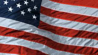 US flag gif.gif