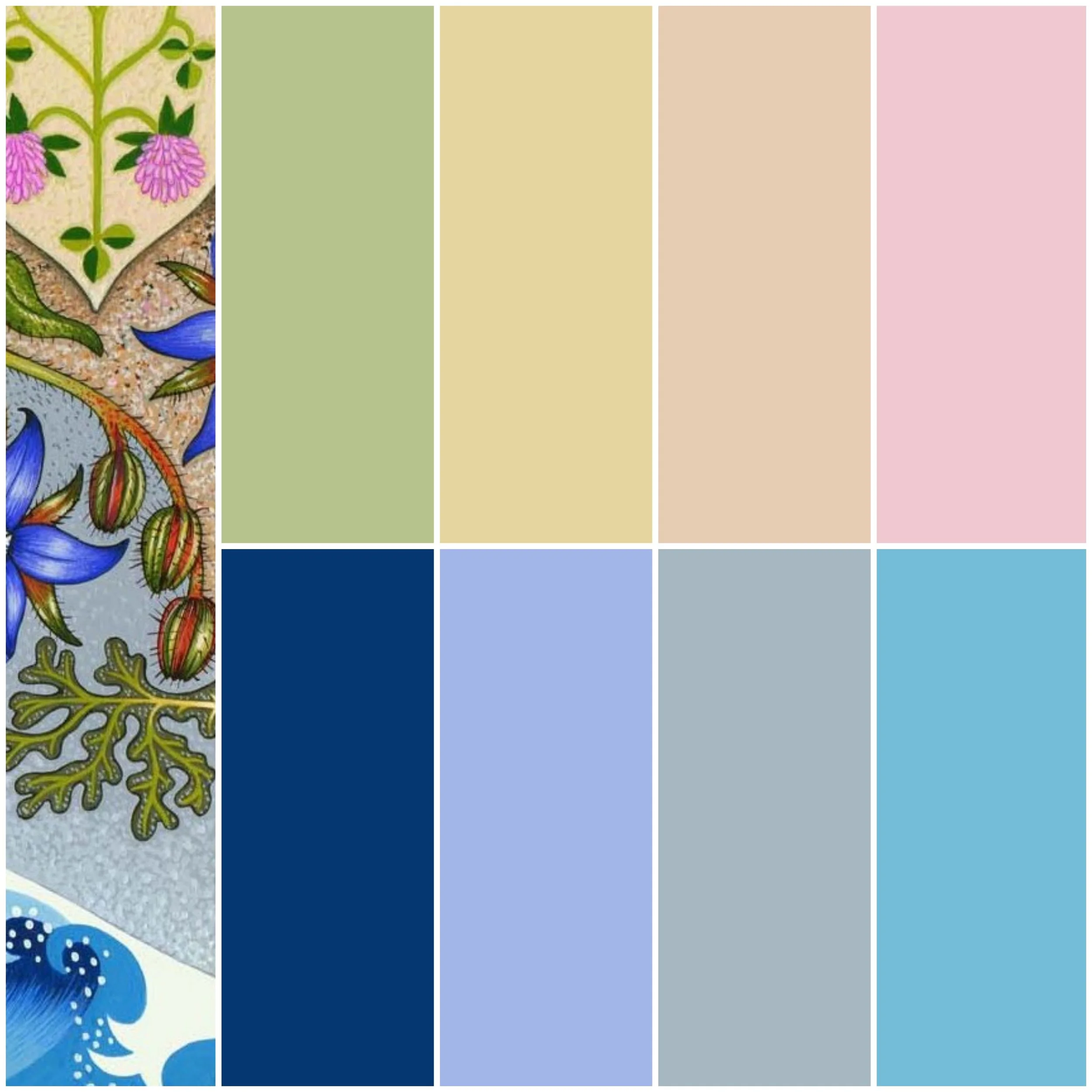 COLOUR CHART.jpg