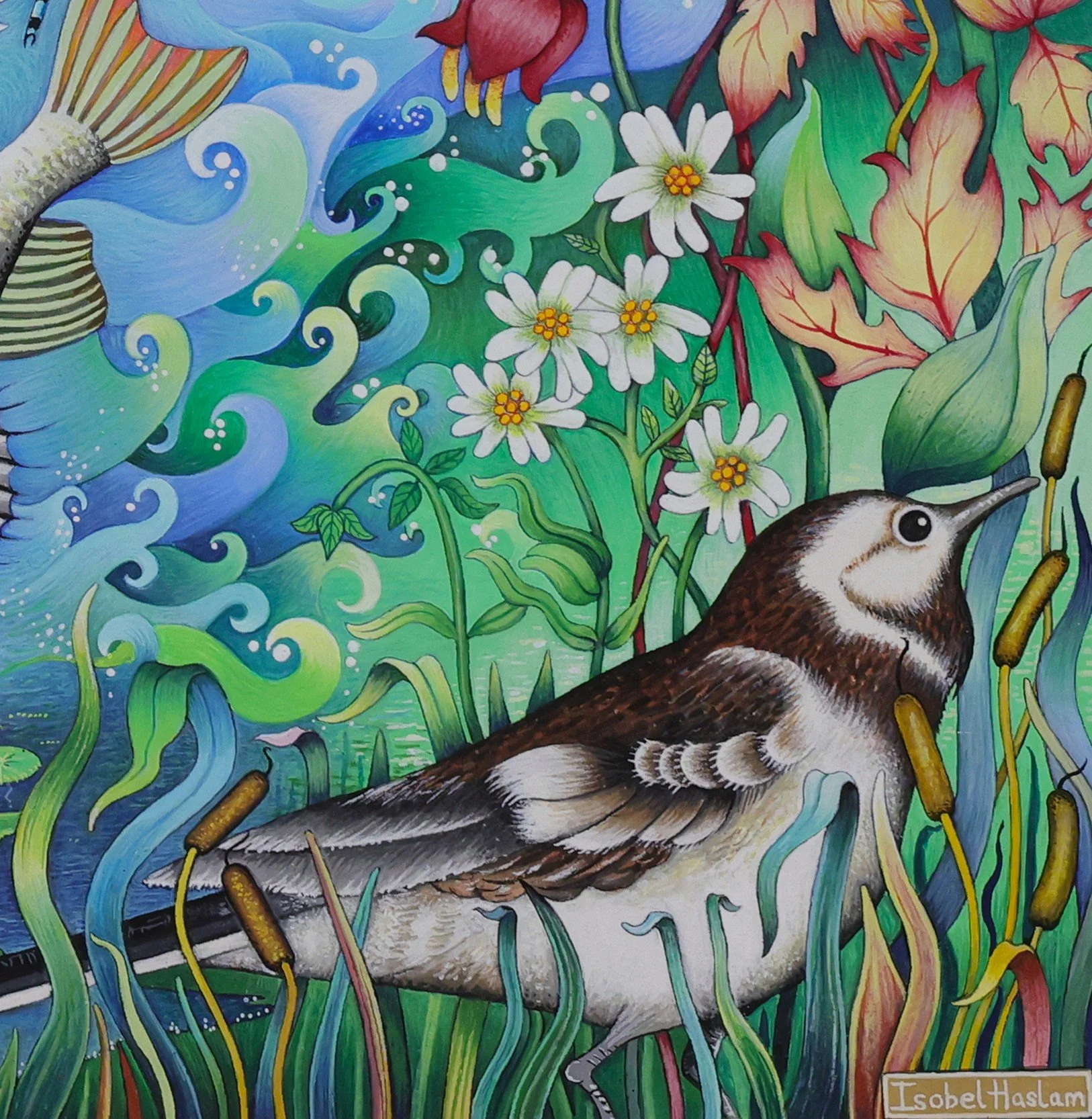 PERCH POINT ENLARGEMENT.jpg