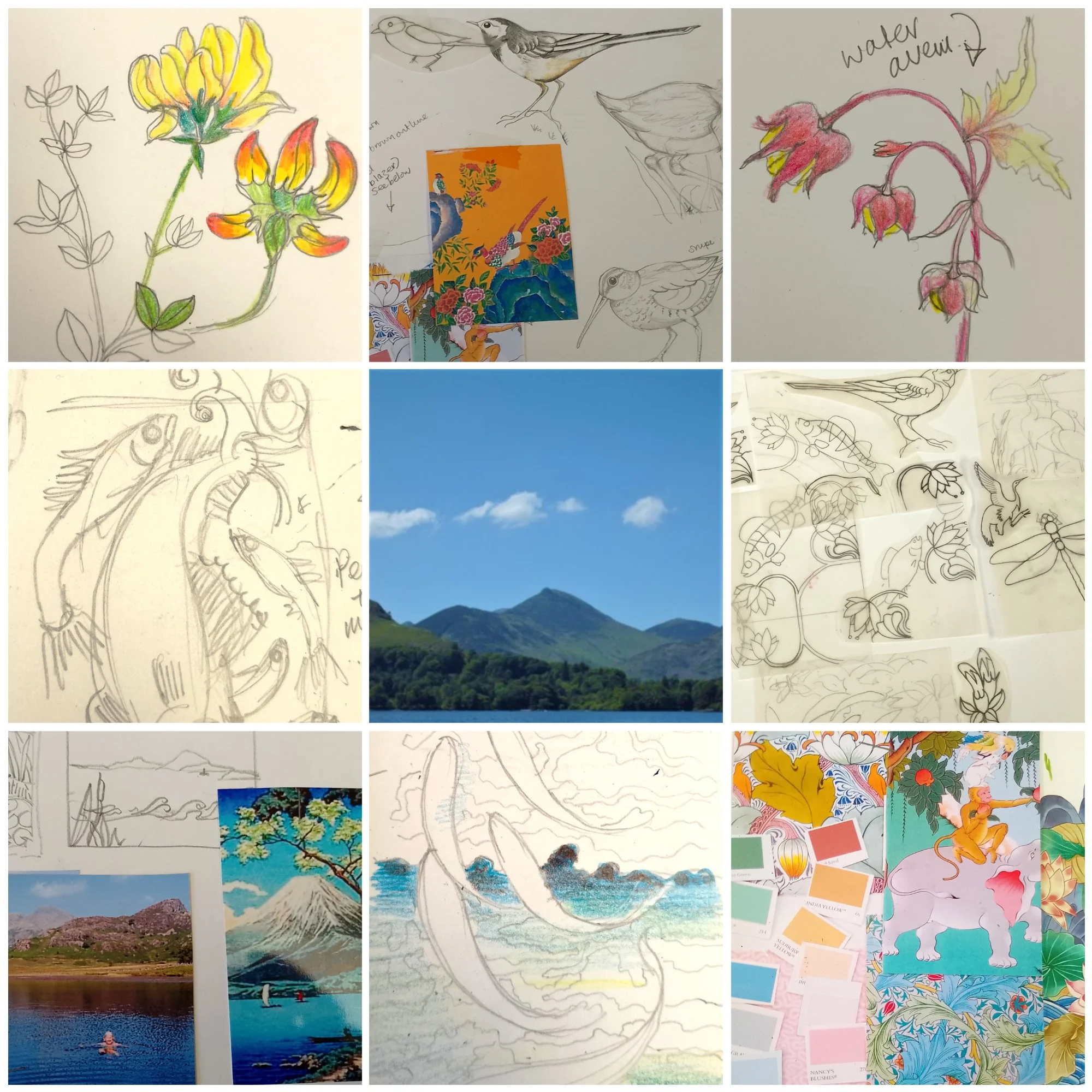 PERCH POINT COLLAGE.jpg