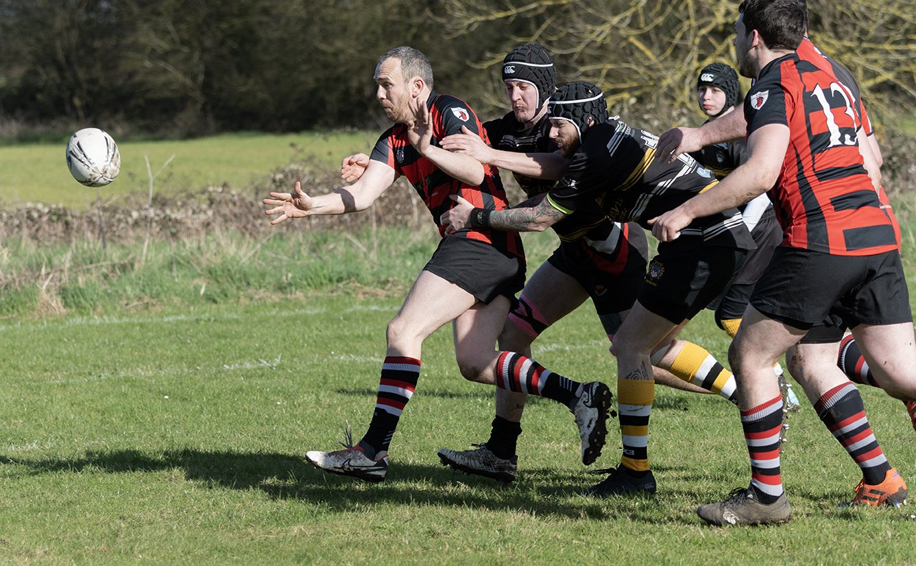 _DSC0486 copy.jpg