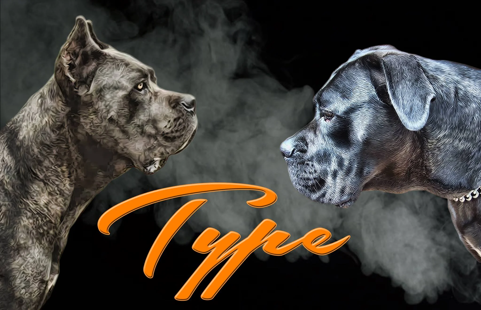 bear mountain cane corso