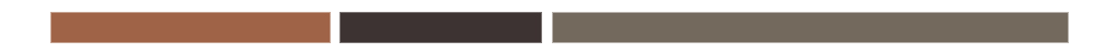 color strip.png