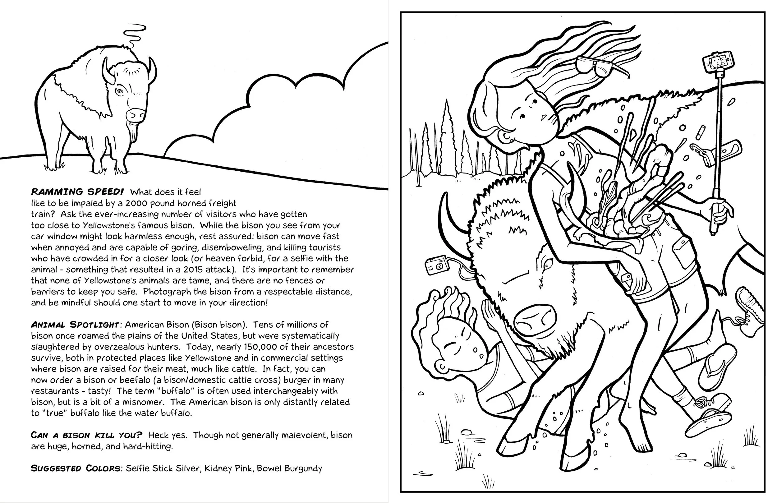 coloringbookinside-etsy2.jpg