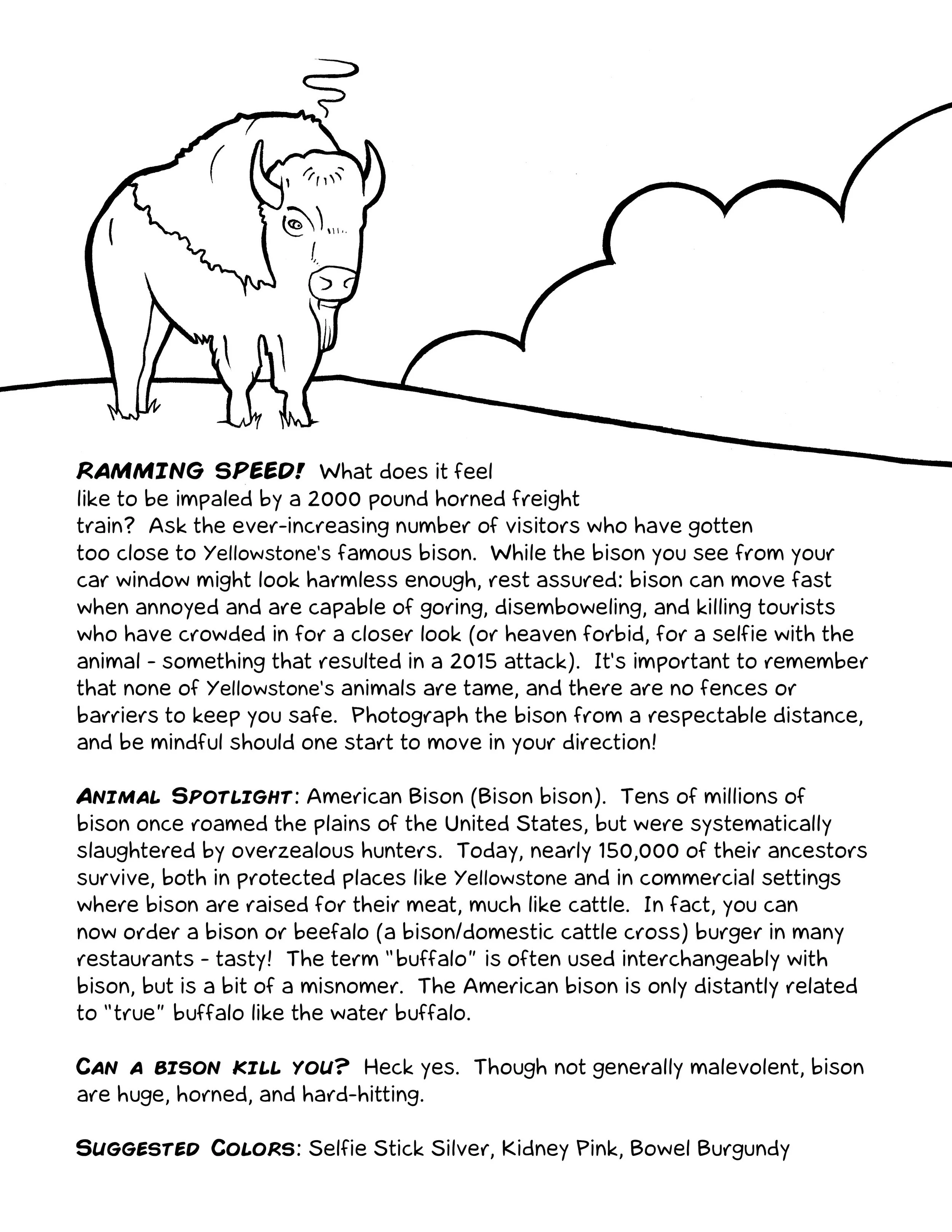 coloringbookinside-etsy.jpg
