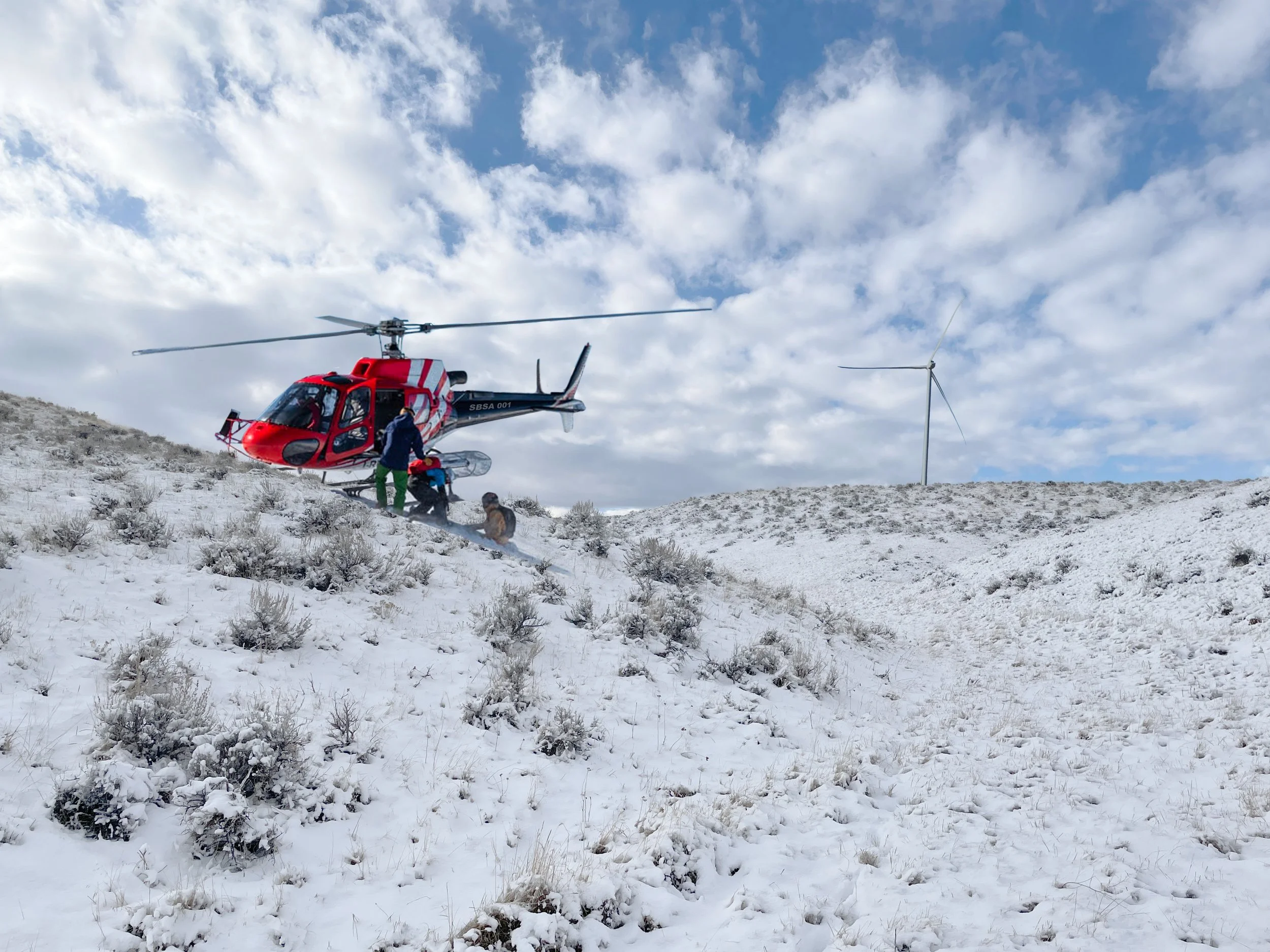 Yes! We offer help-skiing when conditions permit! Here's one of our birds unloading in the backcountry!