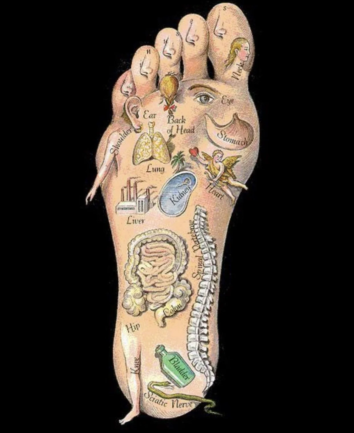 AromatherapyReflexology — Indigo Healing Arts Collective