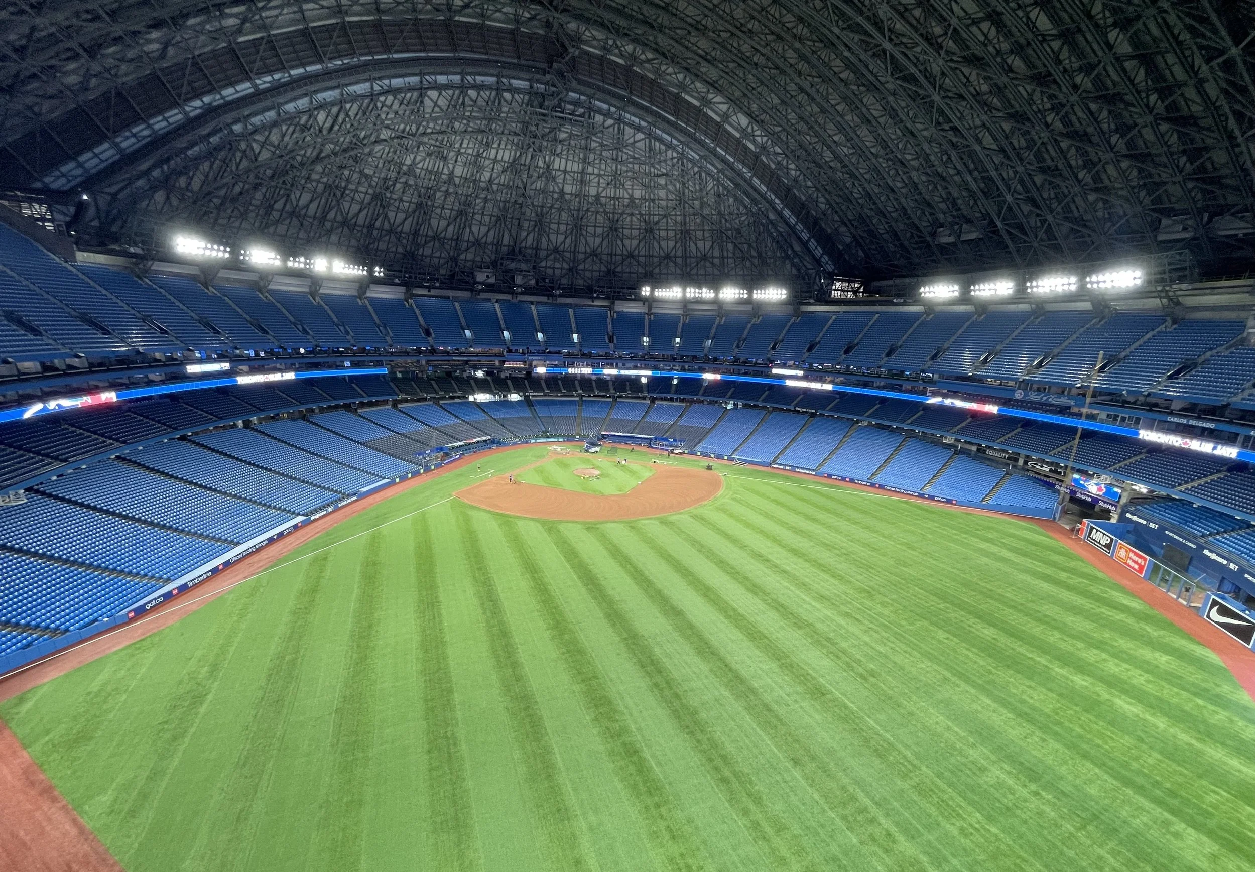bluejays4.jpeg