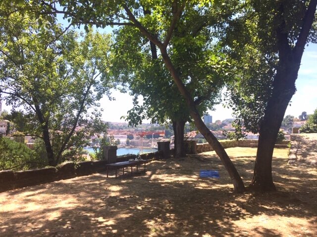 Navigating Transition: An Outdoor Workout & Workshop (Porto)