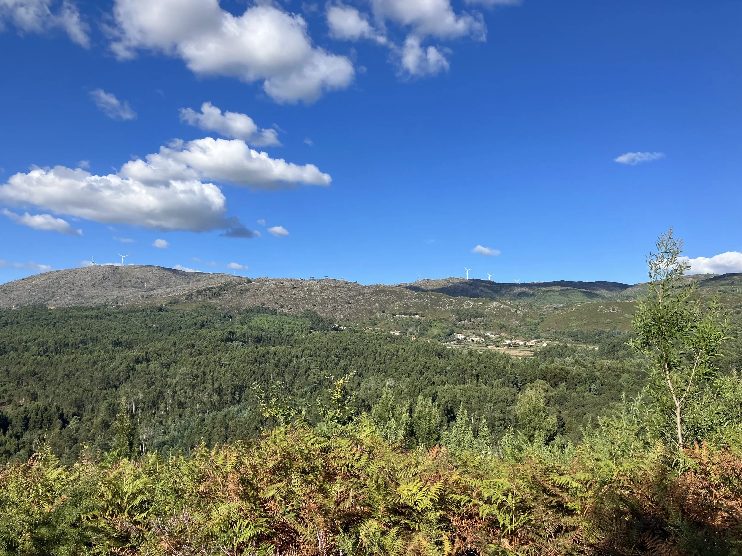 Slowing Down &amp; Being "In-Between"