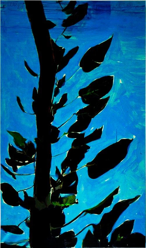 Vine watercolor on paper 1985 46 3/4" x 27 3/4" 