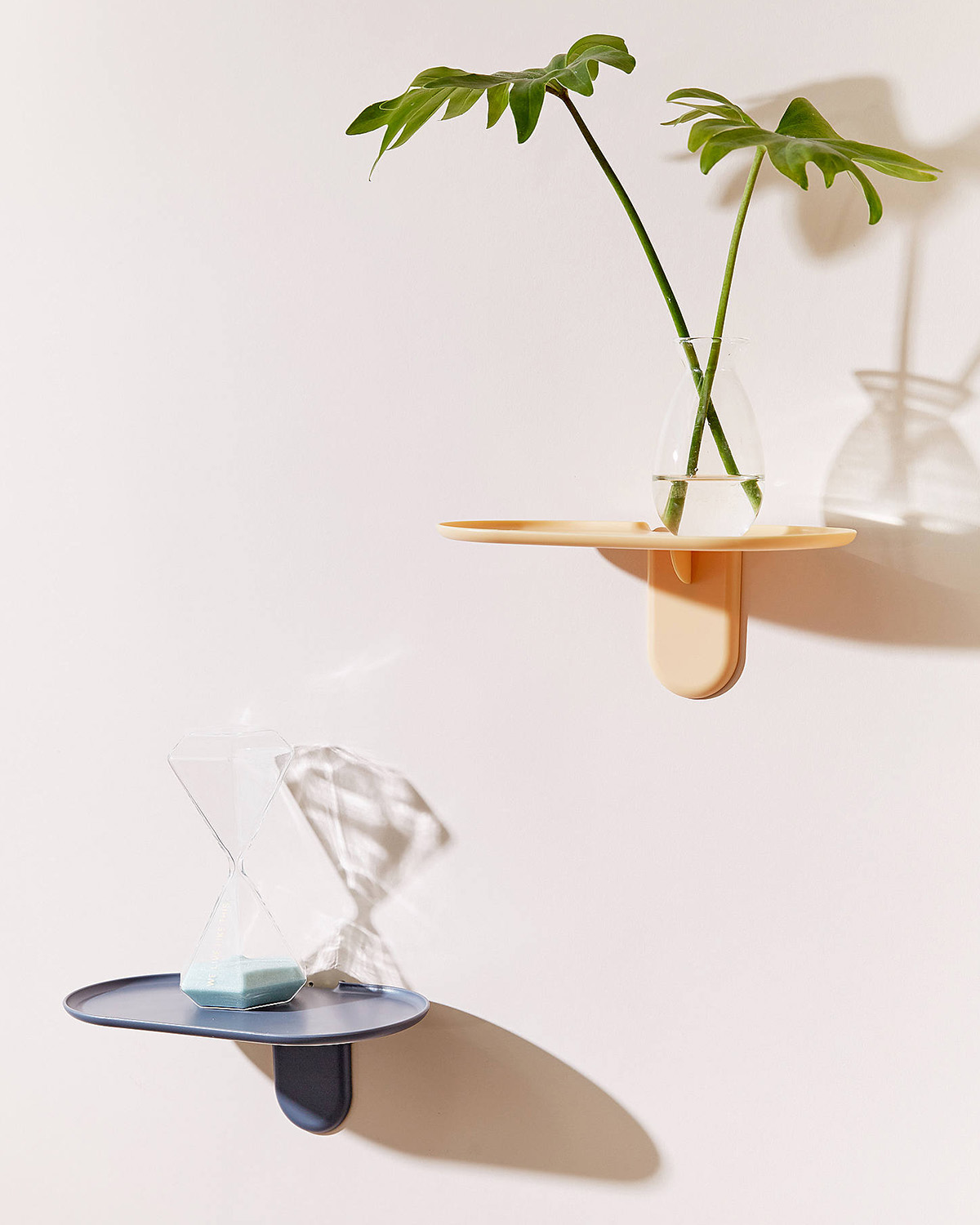 Seed Shelf