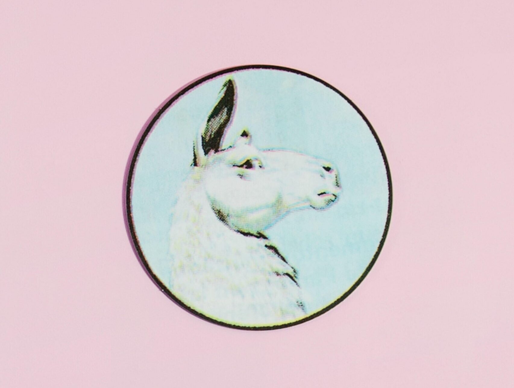   Llama  - Claudia Martinez Garay  Picture by The Grimm Gallery 