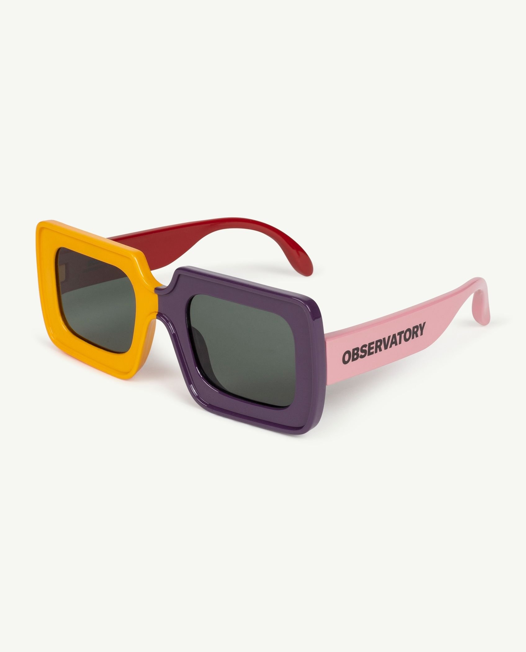 Animal_Observatory_sunglasses_6.jpeg