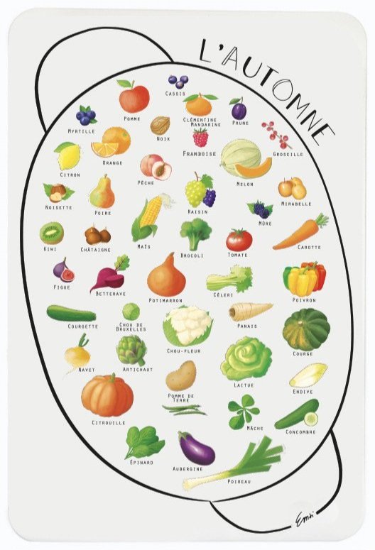 kit-calendrier-magnetique-des-saisons-fruits-et-legumes+%283%29.jpg