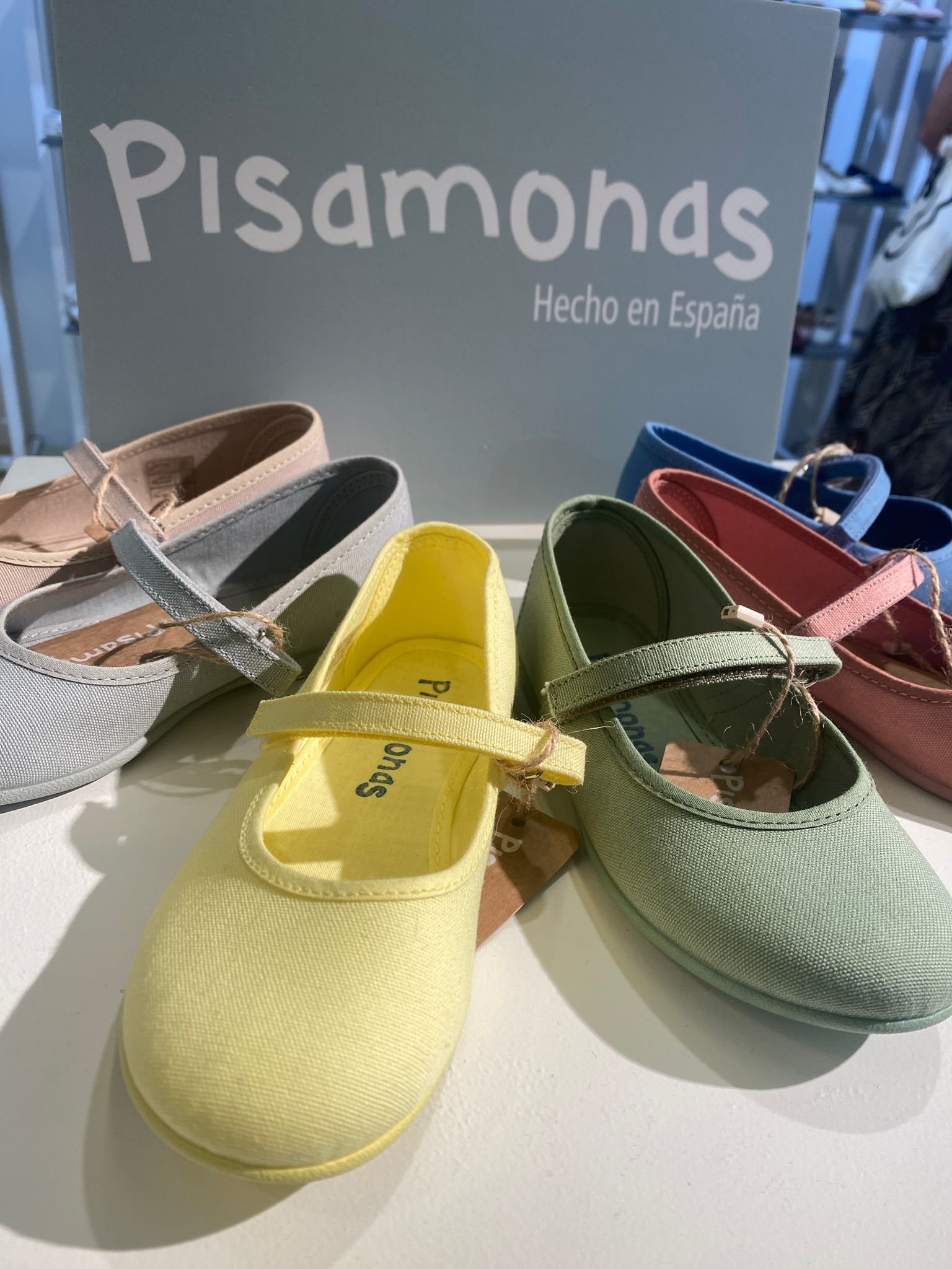 pisamonas.jpeg