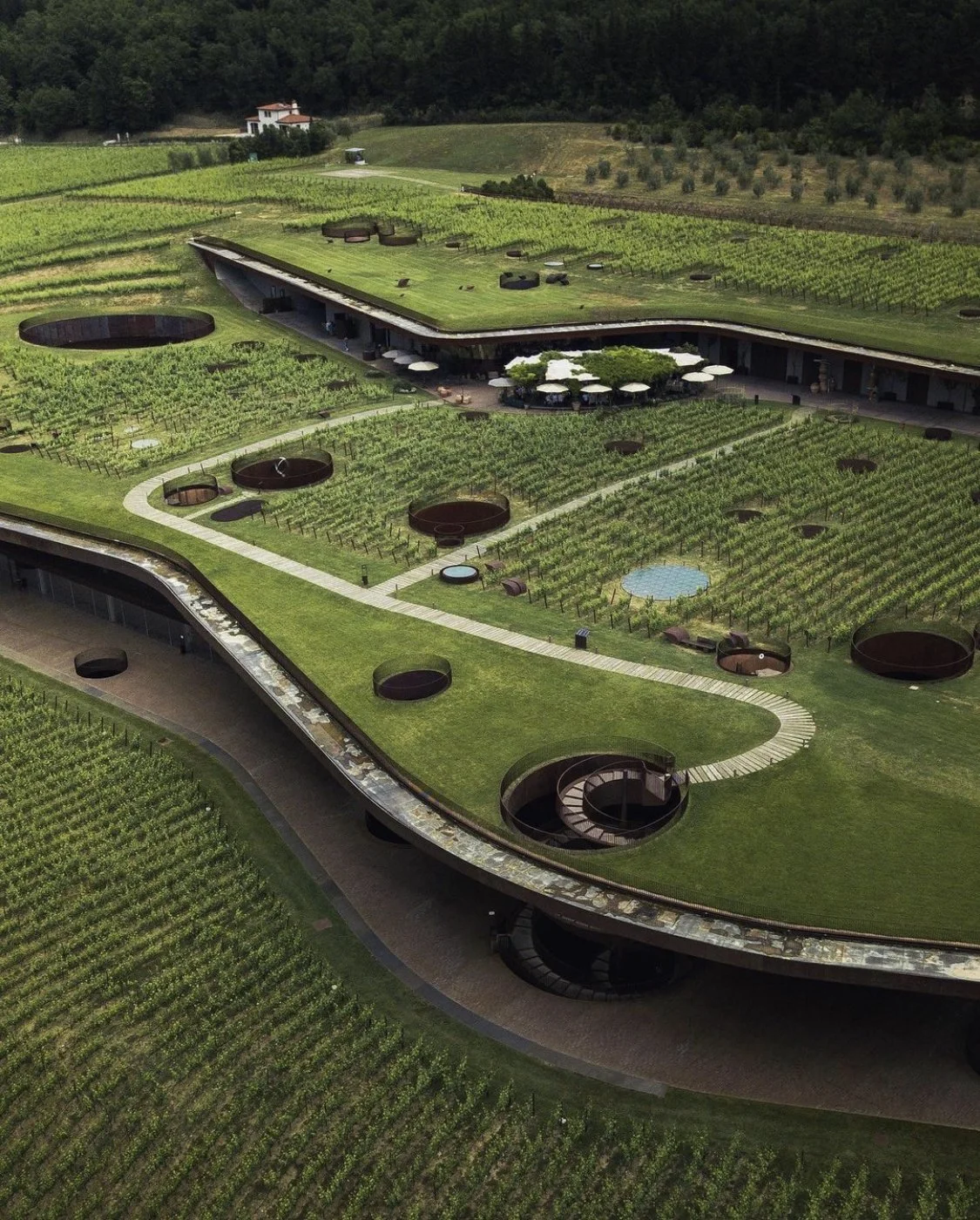 Antinori19.jpg
