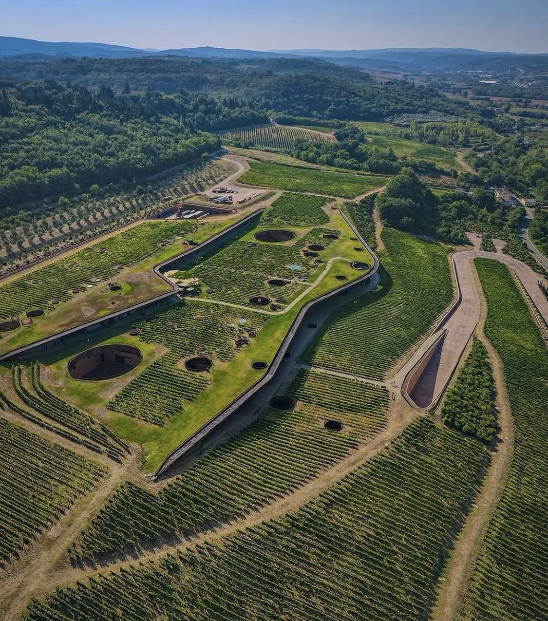 Antinori10.jpg