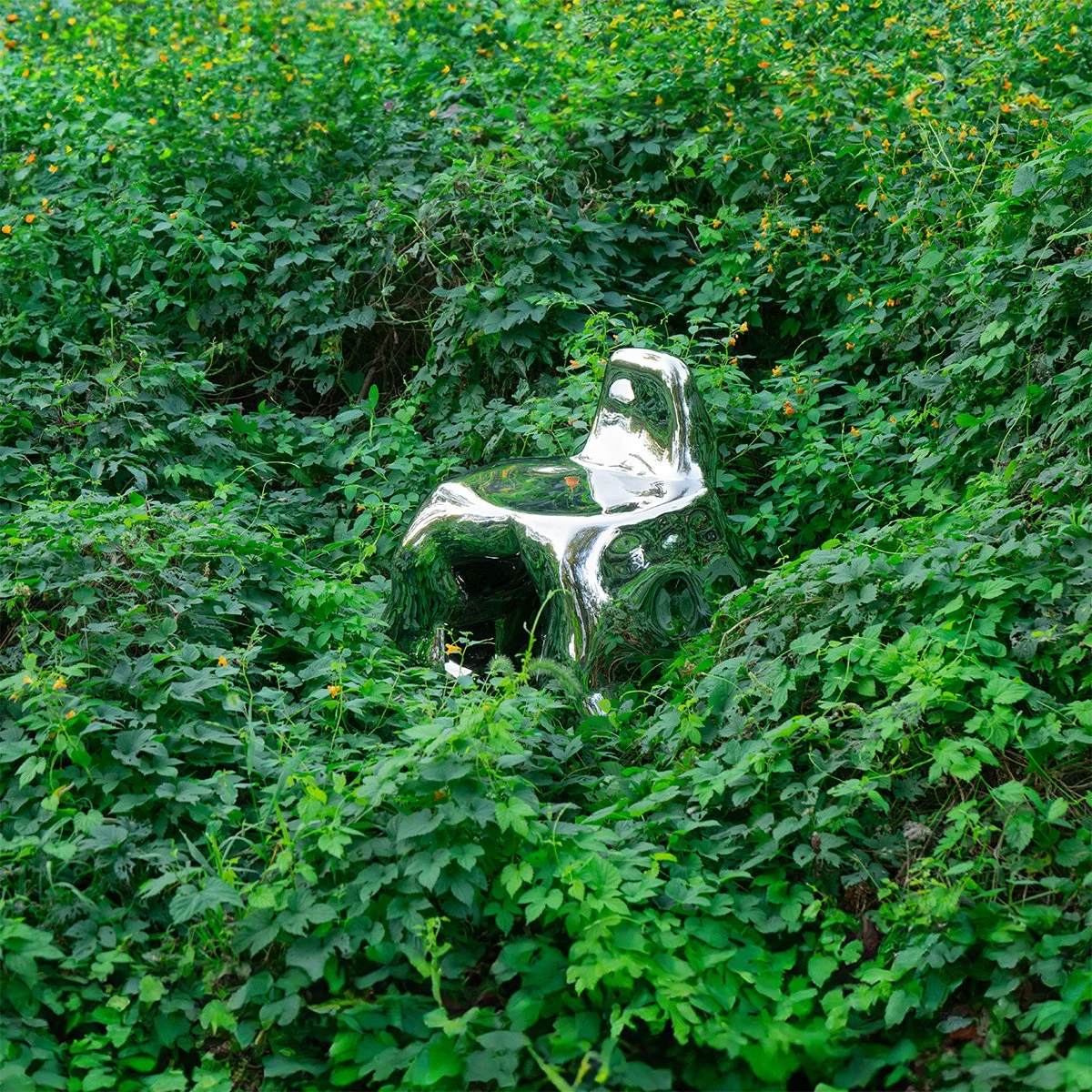 n-a-w-a.com-DSC01290_1.jpg