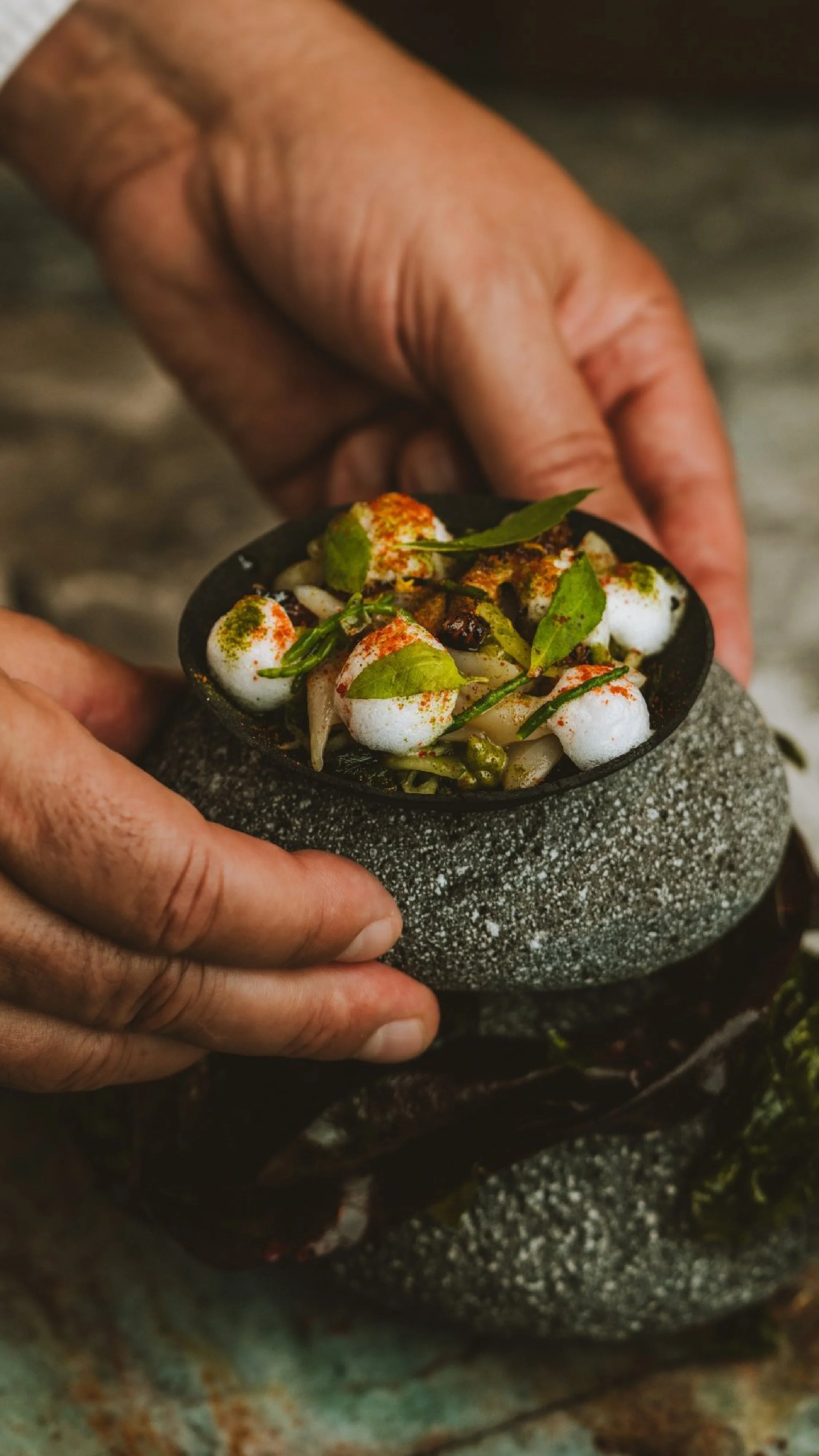 Post-Story_DH 2025 2-59.jpg