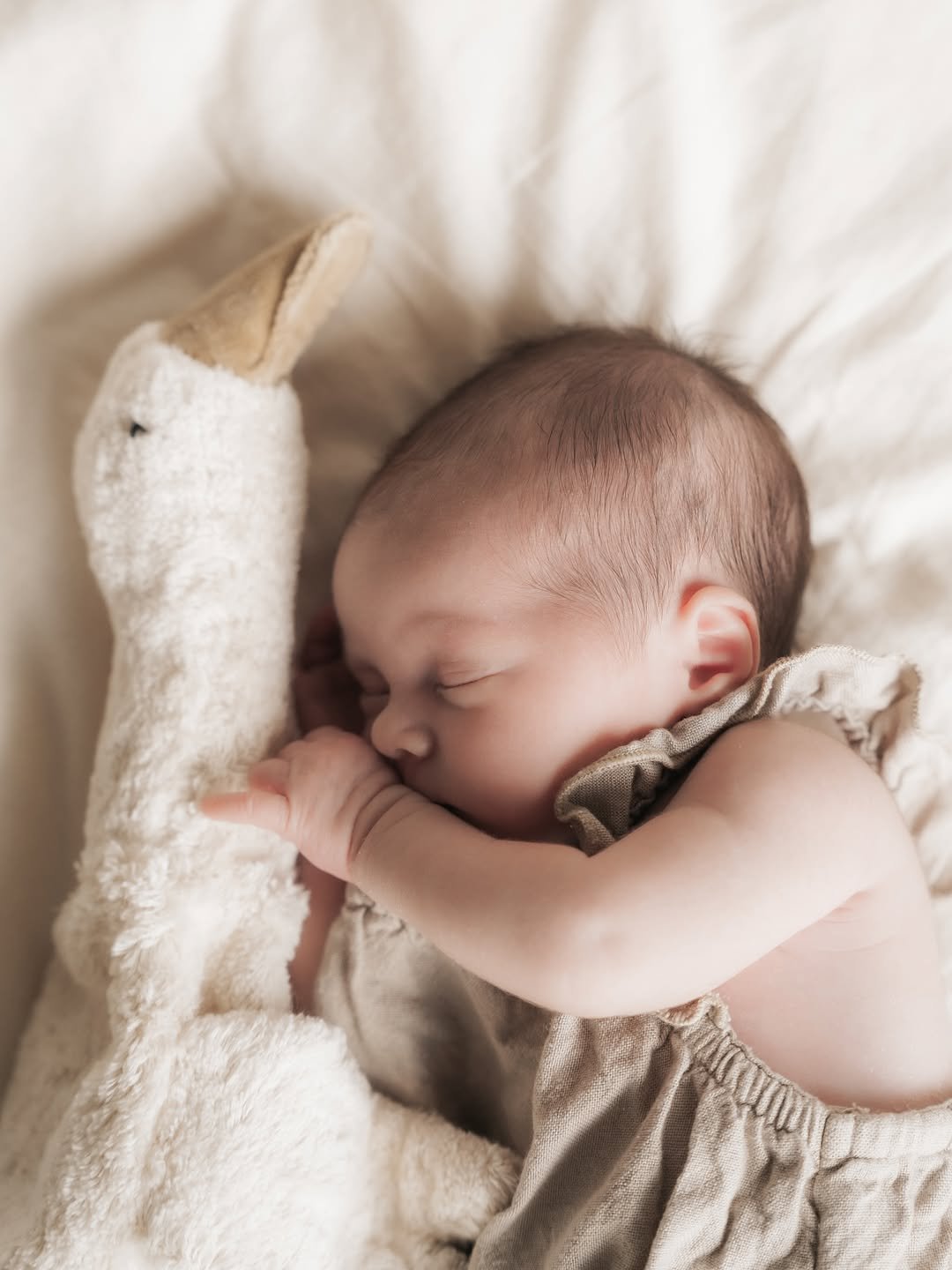 𝗦𝘂𝗻𝗱𝗮𝘆 𝗶𝘀 𝗮 𝗿𝗲𝘀𝘁 𝗱𝗮𝘆 👶🏼..jpg