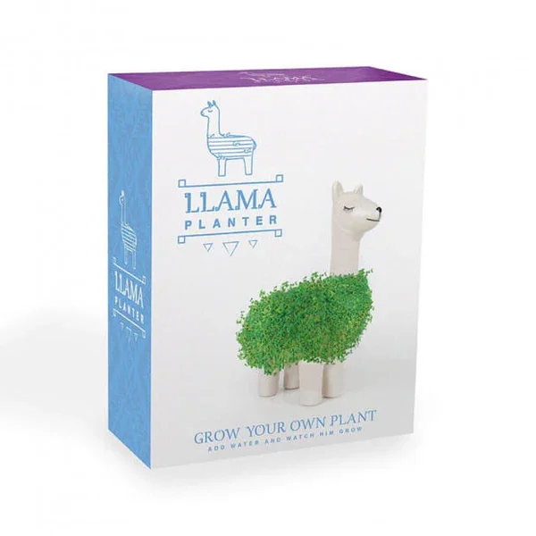 lama-a-faire-pousser_600x.webp