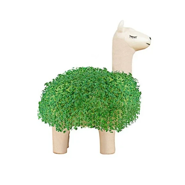 lama-a-faire-pousser-graines-de-chia_600x600.webp