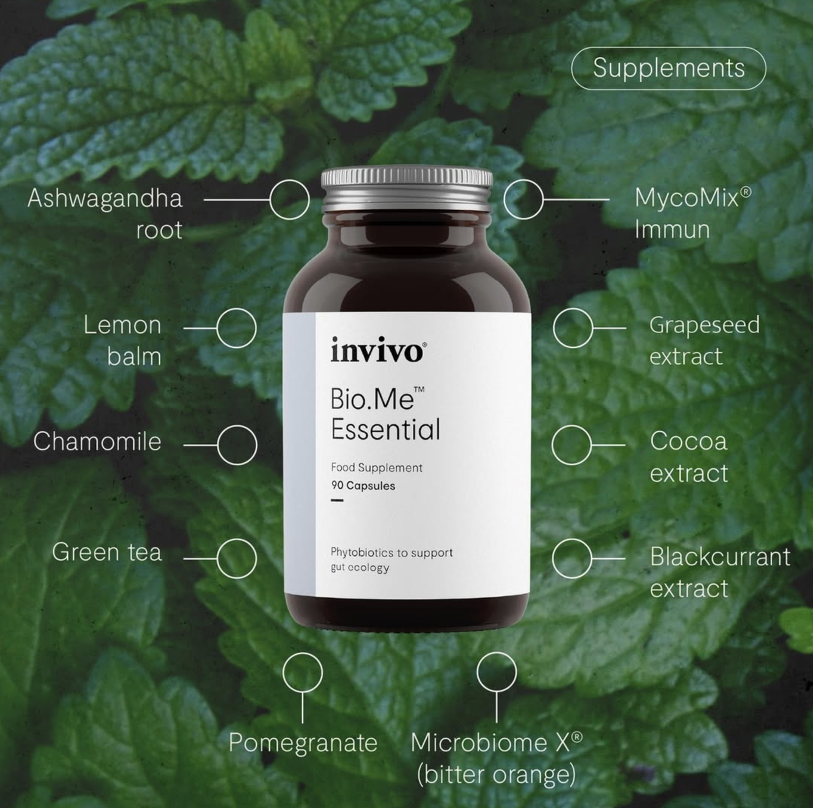 Skærmbillede 2025-11-19 kl. 16.08.02.png