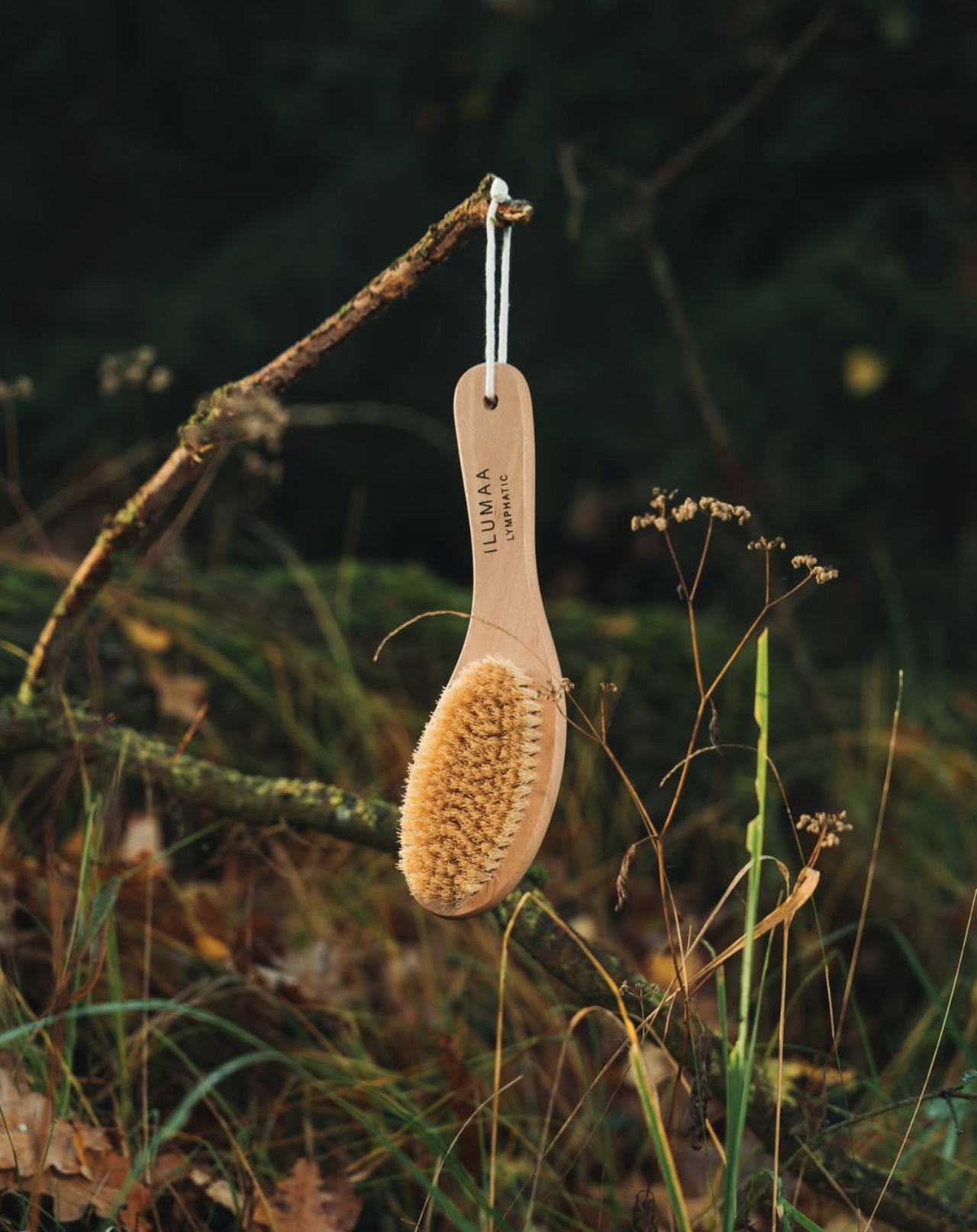 Skærmbillede 2025-11-20 kl. 12.39.40.png