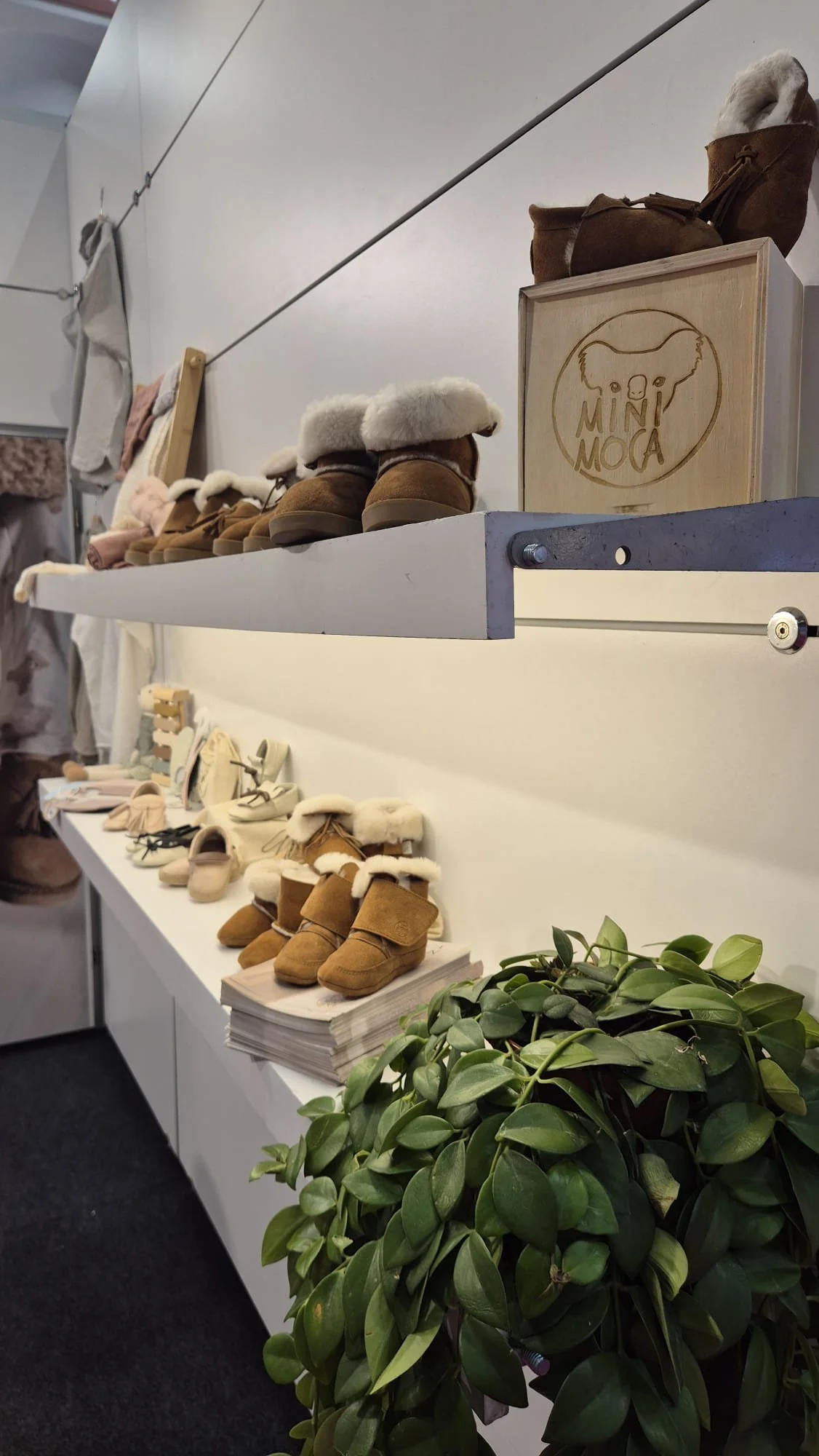 Mini Moca 2.jpeg