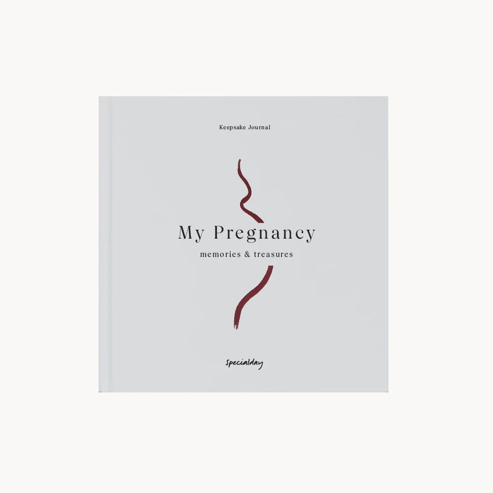my pregnancy journal.webp