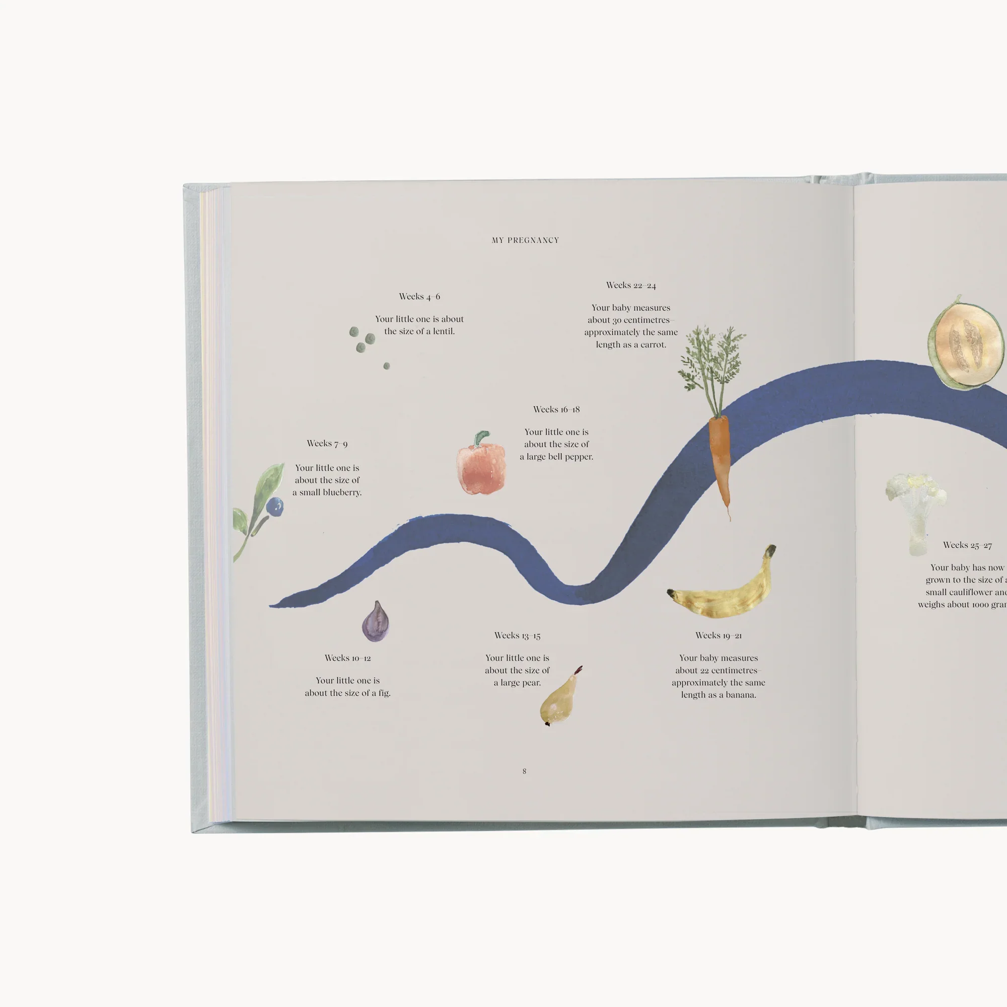 my pregancy journal specialday.webp