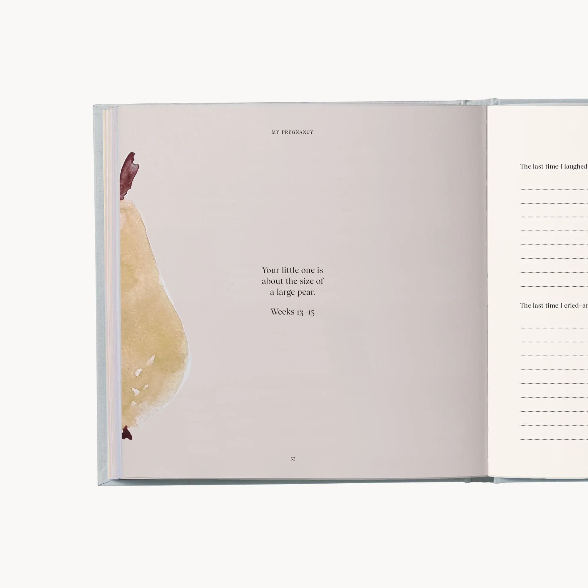 specialday pregancy journal.webp