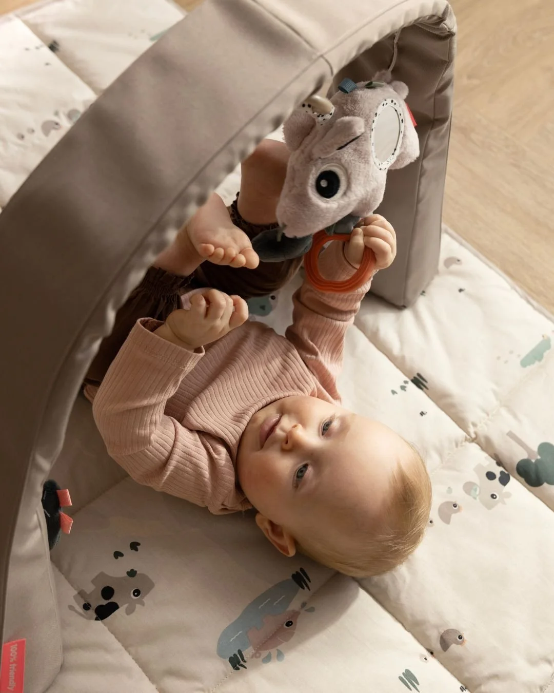 done by deer dh prize.jpg